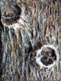 Tronc - LES ARBRES sculpture/ modelage