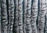 Les nuits blanches - LES ARBRES pastels